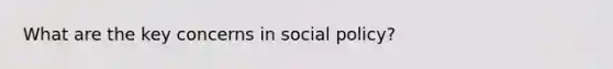 What are the key concerns in social policy?