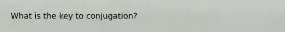 What is the key to conjugation?