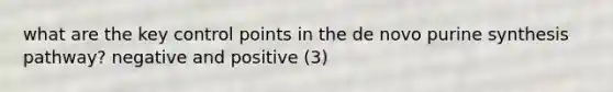 what are the key control points in the de novo purine synthesis pathway? negative and positive (3)