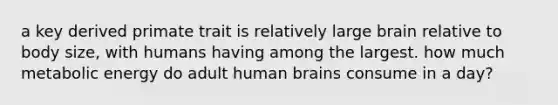 a key derived primate trait is relatively large brain relative to body size, with humans having among the largest. how much metabolic energy do adult human brains consume in a day?