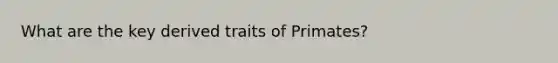 What are the key derived traits of Primates?