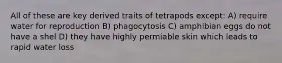 All of these are key derived traits of tetrapods except: A) require water for reproduction B) phagocytosis C) amphibian eggs do not have a shel D) they have highly permiable skin which leads to rapid water loss