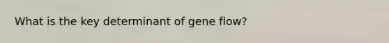 What is the key determinant of gene flow?