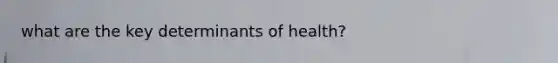 what are the key determinants of health?