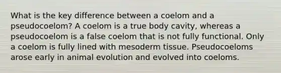 What is the key difference between a coelom and a pseudocoelom? A coelom is a true body cavity, whereas a pseudocoelom is a false coelom that is not fully functional. Only a coelom is fully lined with mesoderm tissue. Pseudocoeloms arose early in animal evolution and evolved into coeloms.