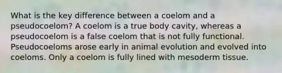 What is the key difference between a coelom and a pseudocoelom? A coelom is a true body cavity, whereas a pseudocoelom is a false coelom that is not fully functional. Pseudocoeloms arose early in animal evolution and evolved into coeloms. Only a coelom is fully lined with mesoderm tissue.