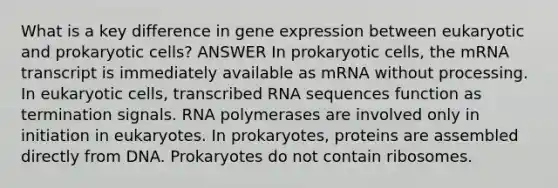 What is a key difference in <a href='https://www.questionai.com/knowledge/kFtiqWOIJT-gene-expression' class='anchor-knowledge'>gene expression</a> between eukaryotic and <a href='https://www.questionai.com/knowledge/k1BuXhIsgo-prokaryotic-cells' class='anchor-knowledge'>prokaryotic cells</a>? ANSWER In prokaryotic cells, the mRNA transcript is immediately available as mRNA without processing. In <a href='https://www.questionai.com/knowledge/kb526cpm6R-eukaryotic-cells' class='anchor-knowledge'>eukaryotic cells</a>, transcribed RNA sequences function as termination signals. RNA polymerases are involved only in initiation in eukaryotes. In prokaryotes, proteins are assembled directly from DNA. Prokaryotes do not contain ribosomes.