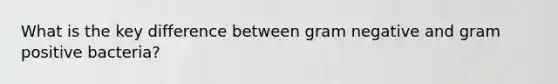 What is the key difference between gram negative and gram positive bacteria?