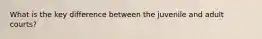 What is the key difference between the juvenile and adult courts?
