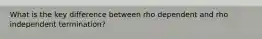 What is the key difference between rho dependent and rho independent termination?
