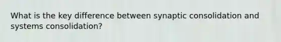 What is the key difference between synaptic consolidation and systems consolidation?