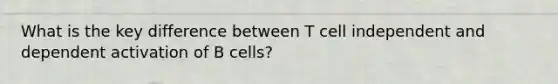 What is the key difference between T cell independent and dependent activation of B cells?