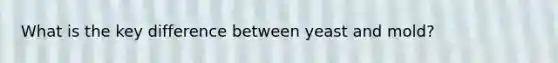 What is the key difference between yeast and mold?