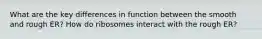 What are the key differences in function between the smooth and rough ER? How do ribosomes interact with the rough ER?