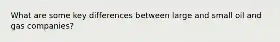 What are some key differences between large and small oil and gas companies?