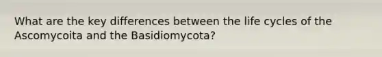 What are the key differences between the life cycles of the Ascomycoita and the Basidiomycota?