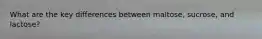 What are the key differences between maltose, sucrose, and lactose?