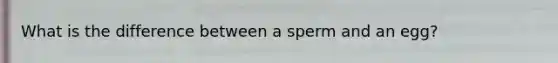 What is the difference between a sperm and an egg?