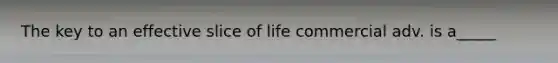 The key to an effective slice of life commercial adv. is a_____