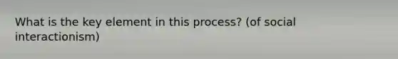 What is the key element in this process? (of social interactionism)