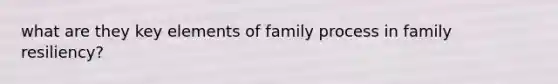 what are they key elements of family process in family resiliency?