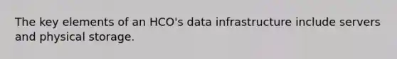 The key elements of an HCO's data infrastructure include servers and physical storage.