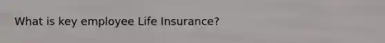 What is key employee Life Insurance?