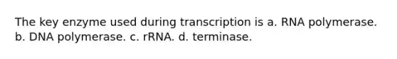 The key enzyme used during transcription is a. RNA polymerase. b. DNA polymerase. c. rRNA. d. terminase.