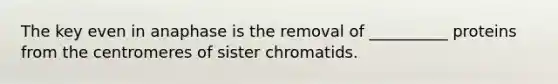 The key even in anaphase is the removal of __________ proteins from the centromeres of sister chromatids.