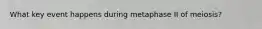 What key event happens during metaphase II of meiosis?