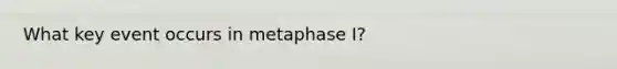 What key event occurs in metaphase I?