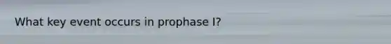 What key event occurs in prophase I?