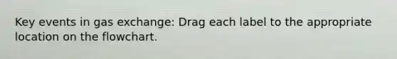 Key events in gas exchange: Drag each label to the appropriate location on the flowchart.