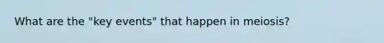 What are the "key events" that happen in meiosis?