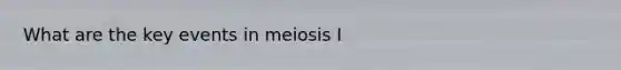 What are the key events in meiosis I