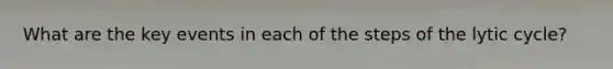 What are the key events in each of the steps of the lytic cycle?