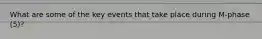 What are some of the key events that take place during M-phase (5)?