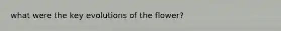 what were the key evolutions of the flower?