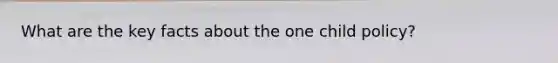 What are the key facts about the one child policy?