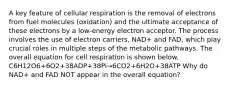 A key feature of cellular respiration is the removal of electrons from fuel molecules (oxidation) and the ultimate acceptance of these electrons by a low-energy electron acceptor. The process involves the use of electron carriers, NAD+ and FAD, which play crucial roles in multiple steps of the metabolic pathways. The overall equation for cell respiration is shown below. C6H12O6+6O2+38ADP+38Pi→6CO2+6H2O+38ATP Why do NAD+ and FAD NOT appear in the overall equation?