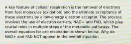 A key feature of cellular respiration is the removal of electrons from fuel molecules (oxidation) and the ultimate acceptance of these electrons by a low-energy electron acceptor. The process involves the use of electron carriers, NAD+ and FAD, which play crucial roles in multiple steps of the metabolic pathways. The overall equation for cell respiration is shown below. Why do NAD+ and FAD NOT appear in the overall equation