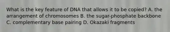 What is the key feature of DNA that allows it to be copied? A. the arrangement of chromosomes B. the sugar-phosphate backbone C. complementary base pairing D. Okazaki fragments