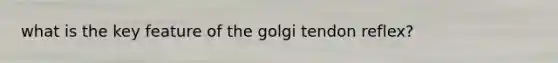 what is the key feature of the golgi tendon reflex?