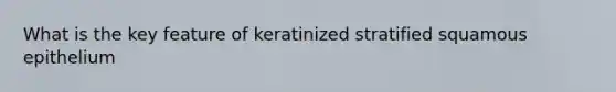 What is the key feature of keratinized stratified squamous epithelium