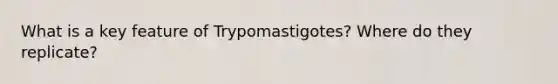 What is a key feature of Trypomastigotes? Where do they replicate?