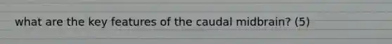 what are the key features of the caudal midbrain? (5)