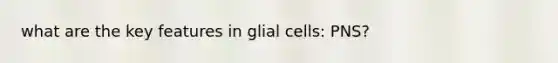 what are the key features in glial cells: PNS?