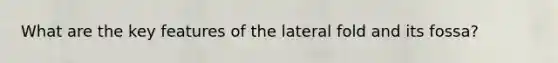 What are the key features of the lateral fold and its fossa?