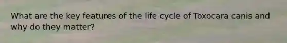 What are the key features of the life cycle of Toxocara canis and why do they matter?