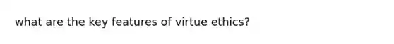 what are the key features of virtue ethics?